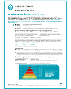 DELTA Factsheet Gehörschutz