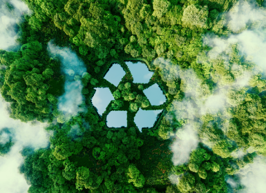 RightCycle™ : recycler intelligemment les essuie-mains en papier avec Kimberly-Clark Professional