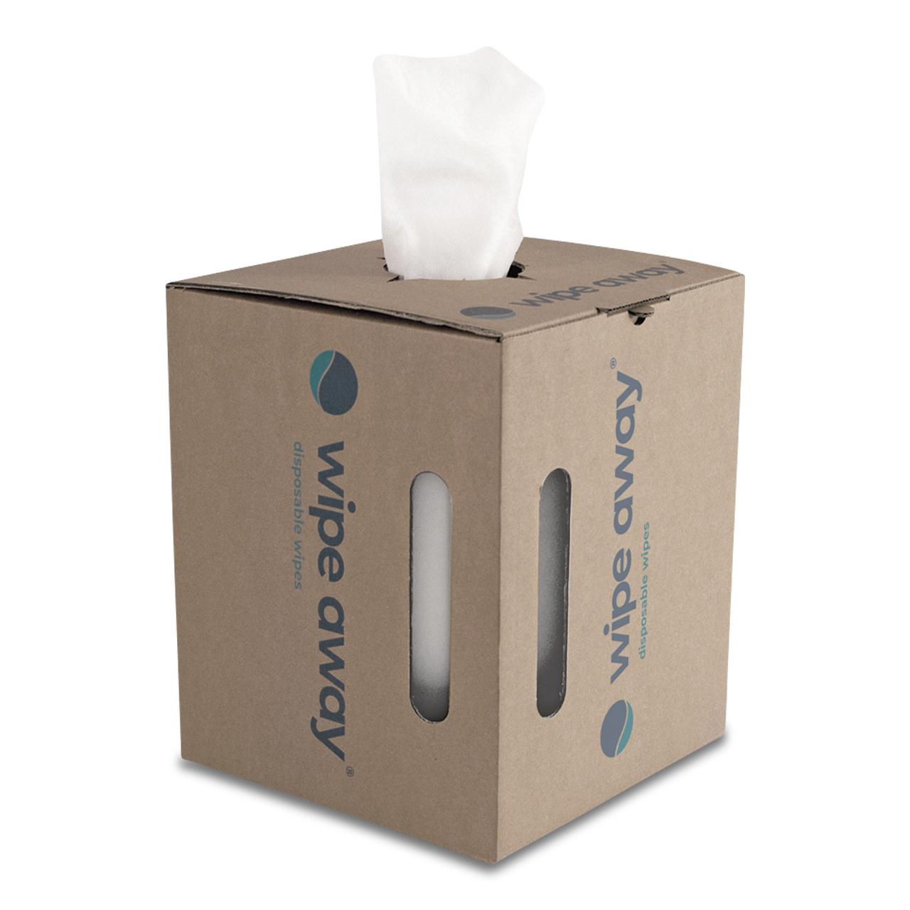 wipe away Ecowipes 40